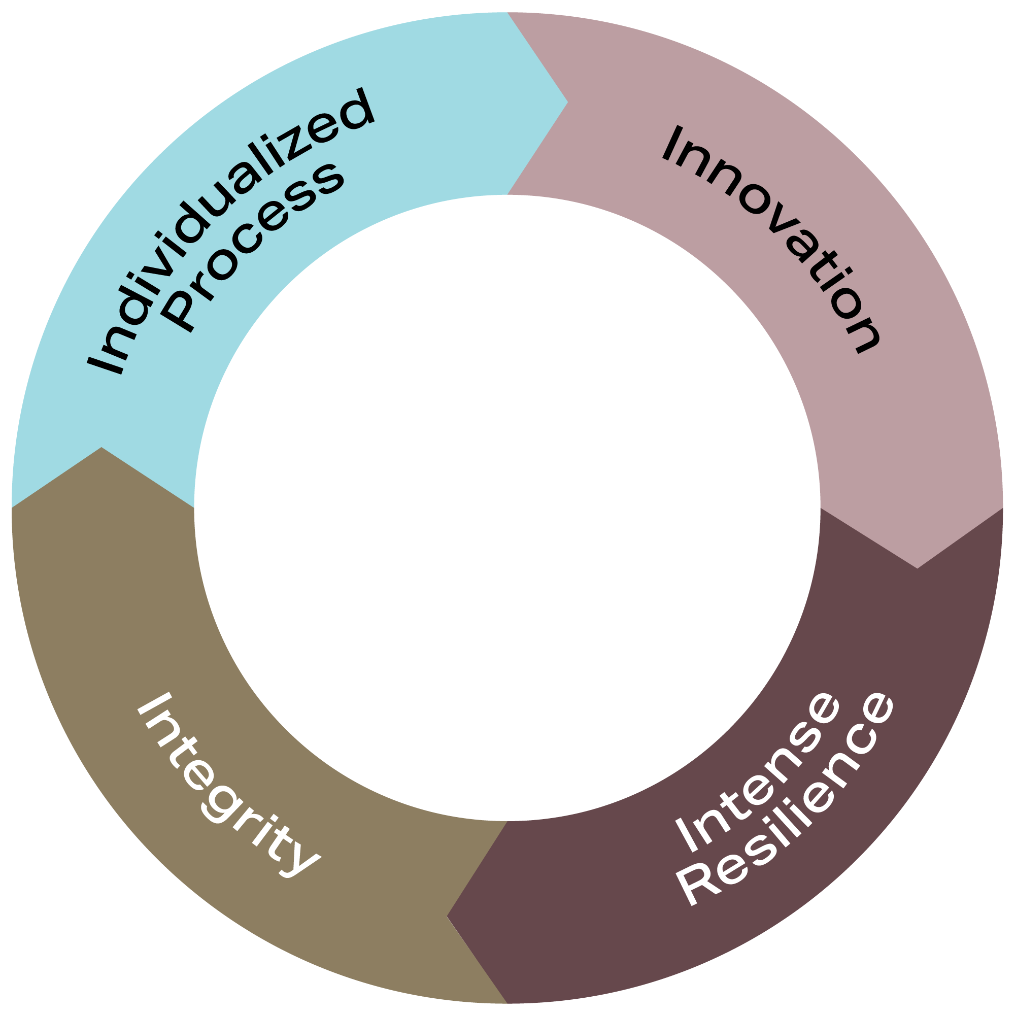 True-North-Flywheel-Graphic-v2b